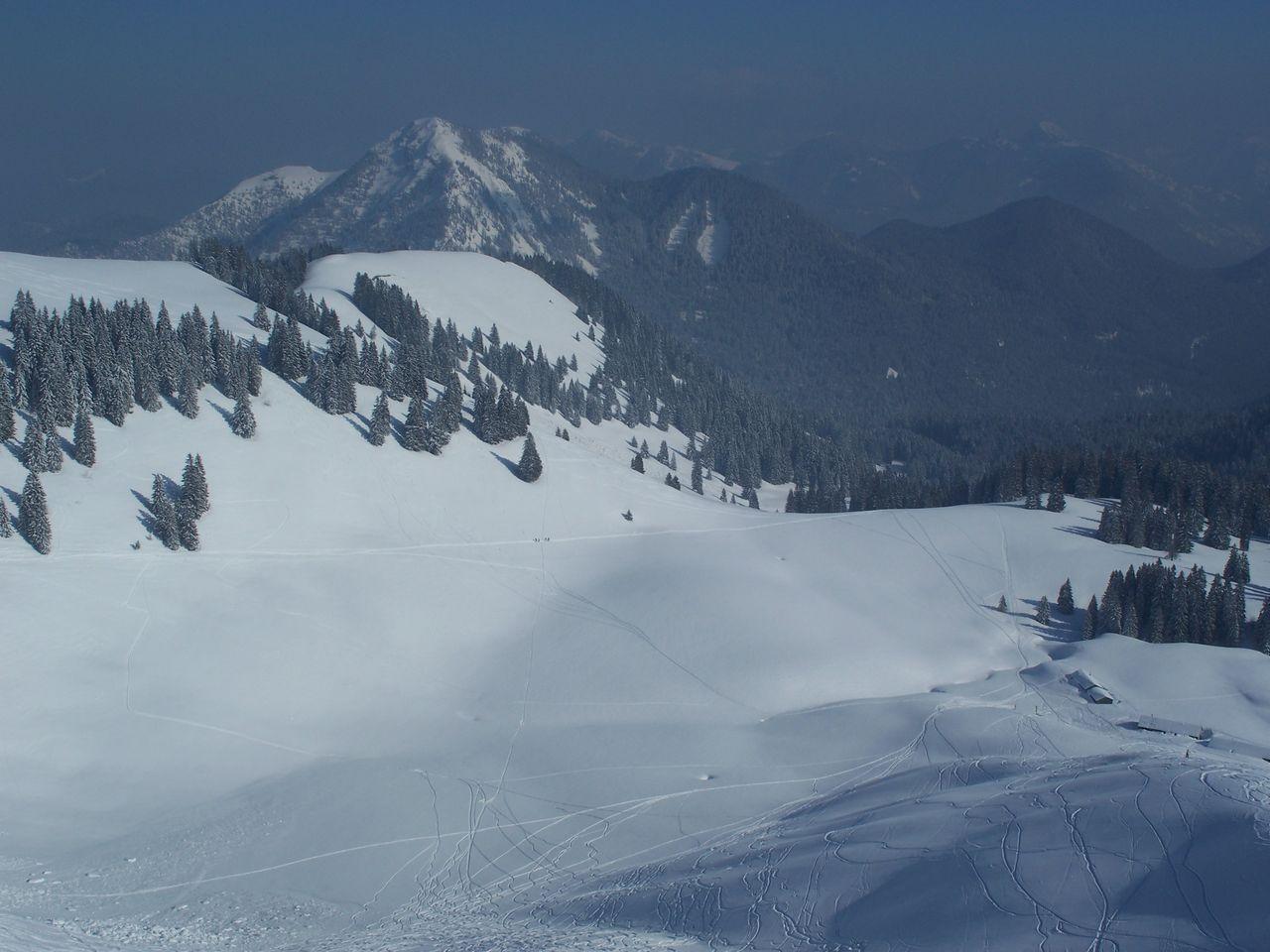 Bild vergr&ouml;ssern