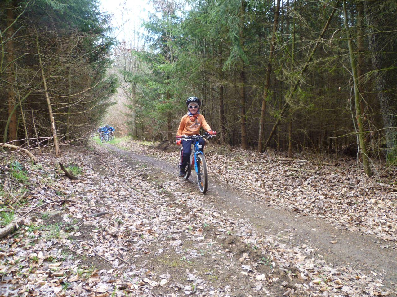 Bild vergr&ouml;ssern