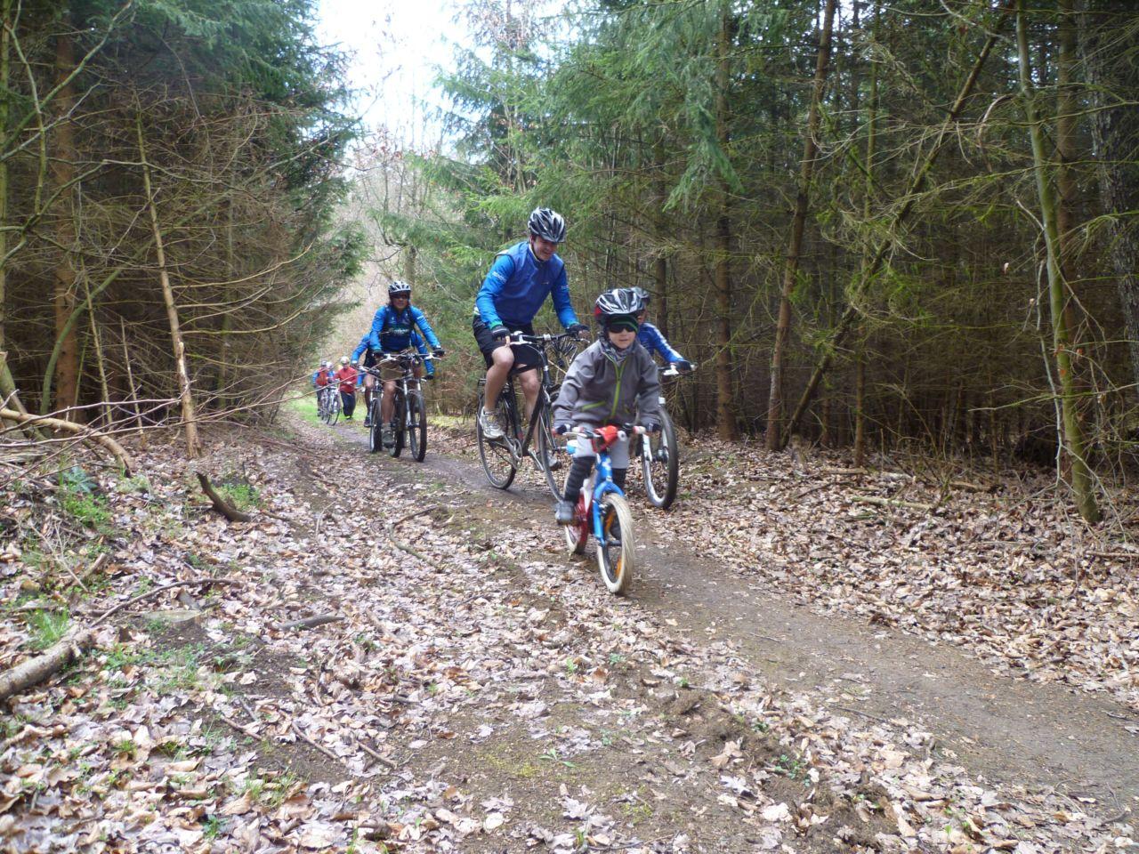 Bild vergr&ouml;ssern