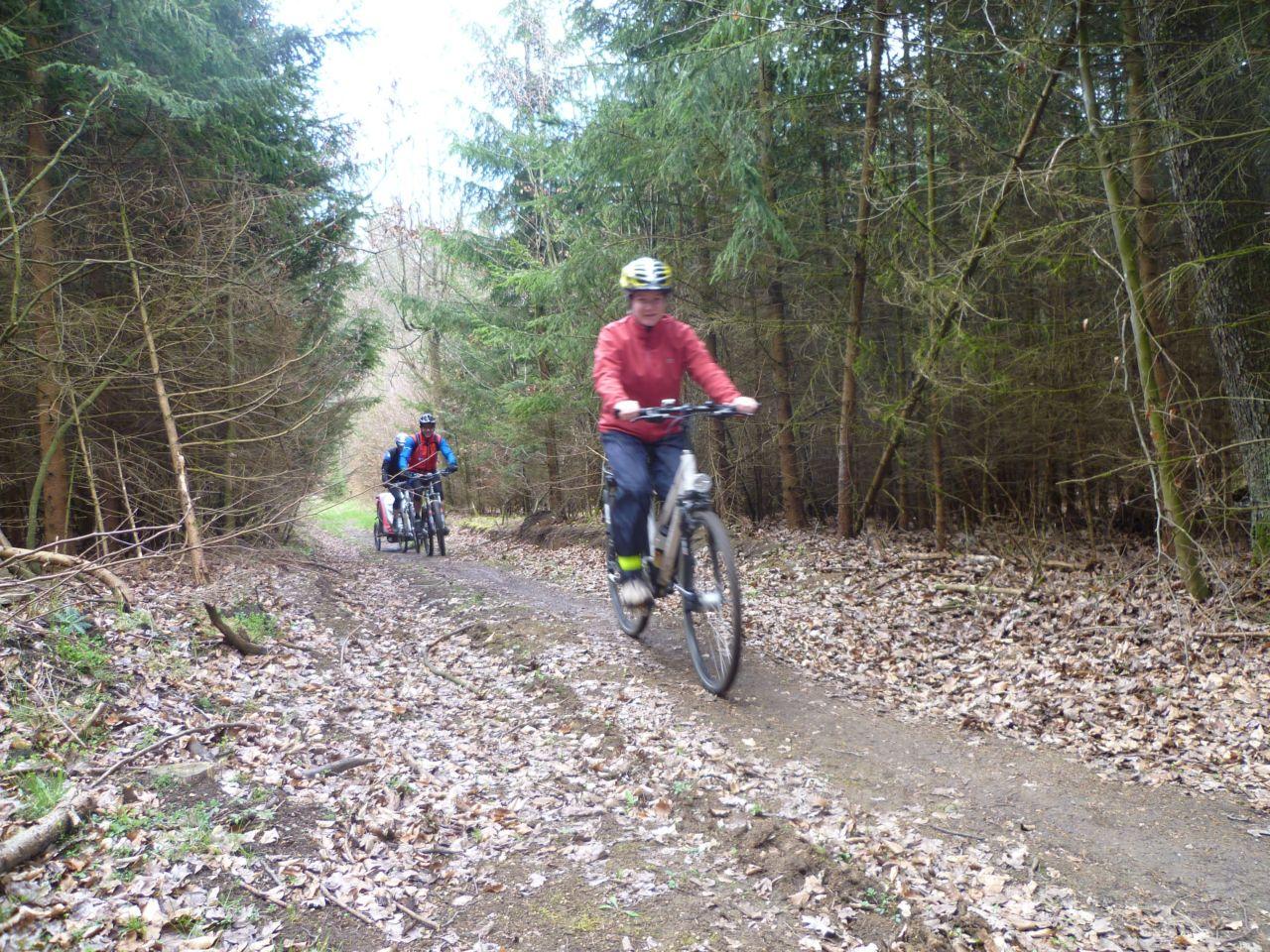 Bild vergr&ouml;ssern