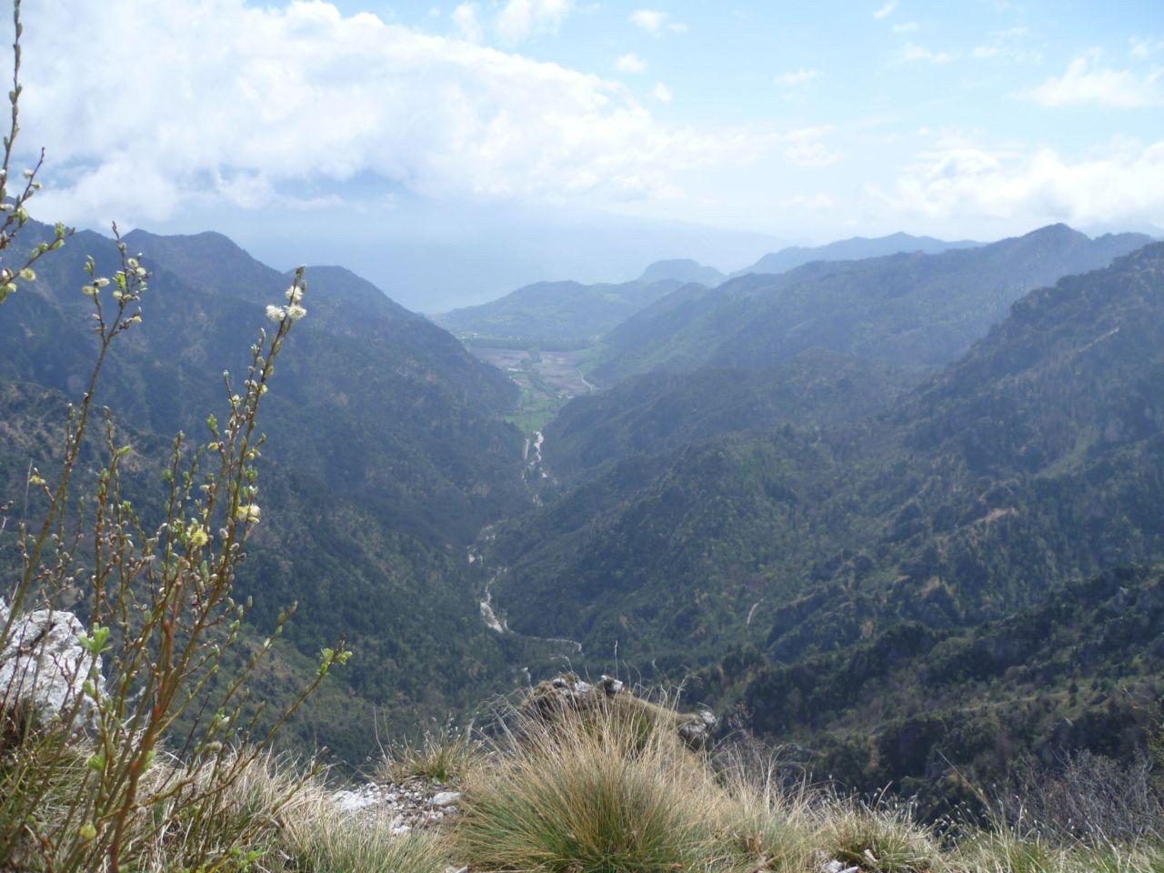 Bild vergr&ouml;ssern