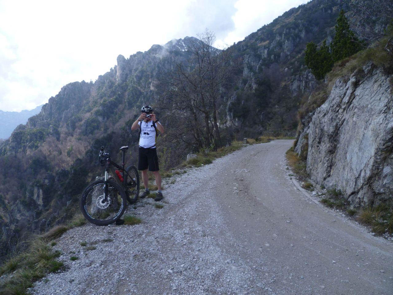 Bild vergr&ouml;ssern