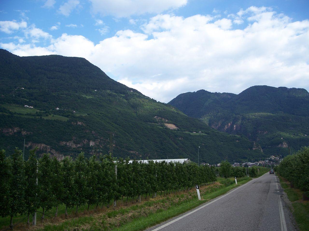 Bild vergr&ouml;ssern