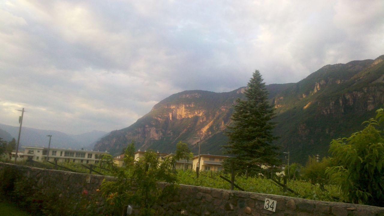 Bild vergr&ouml;ssern