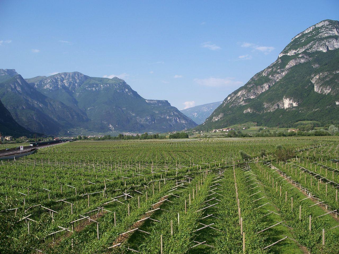 Bild vergr&ouml;ssern