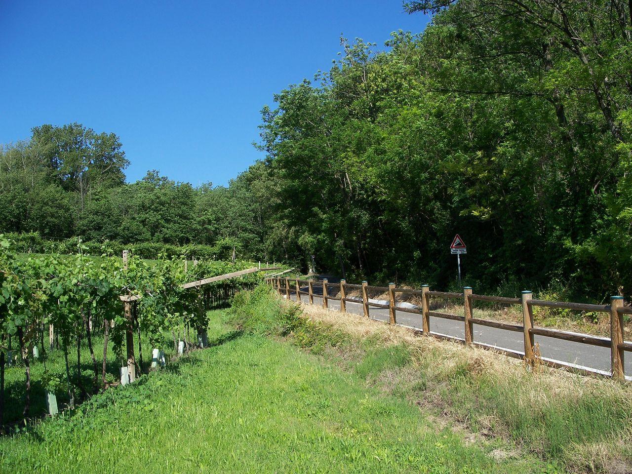 Bild vergr&ouml;ssern