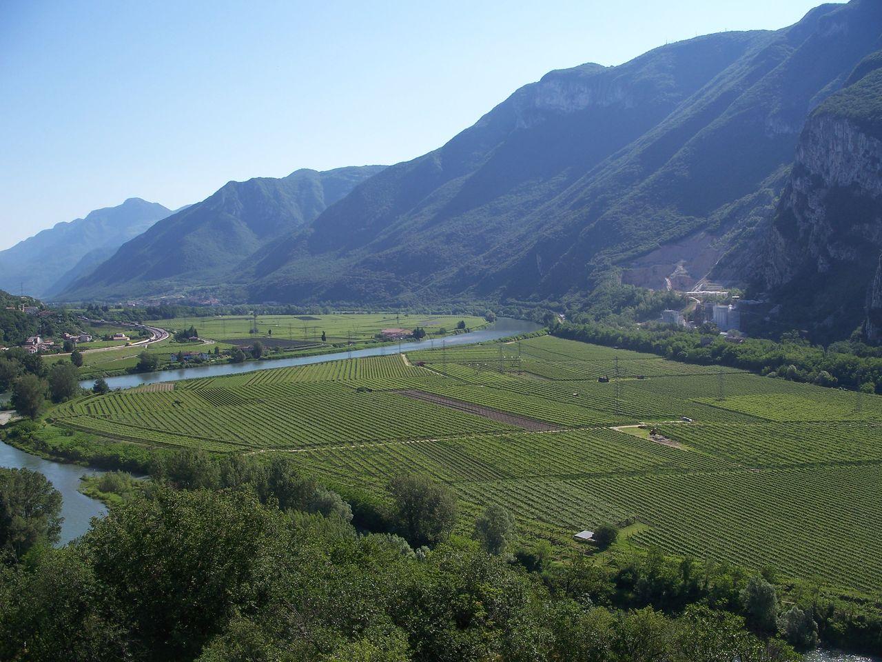 Bild vergr&ouml;ssern