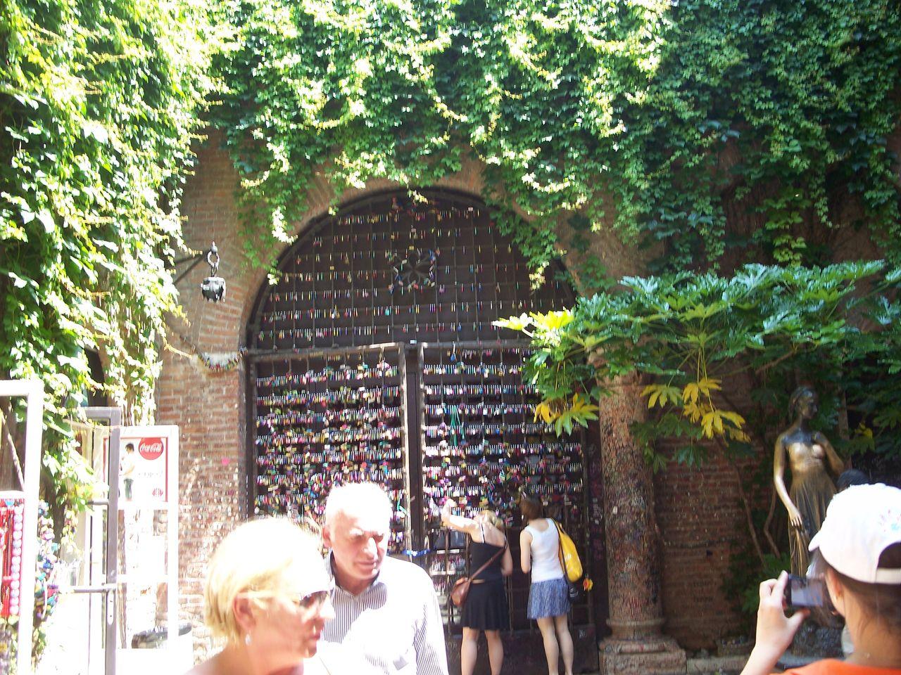 Bild vergr&ouml;ssern