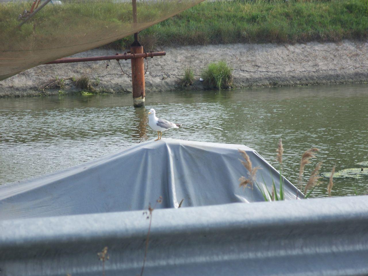 Bild vergr&ouml;ssern