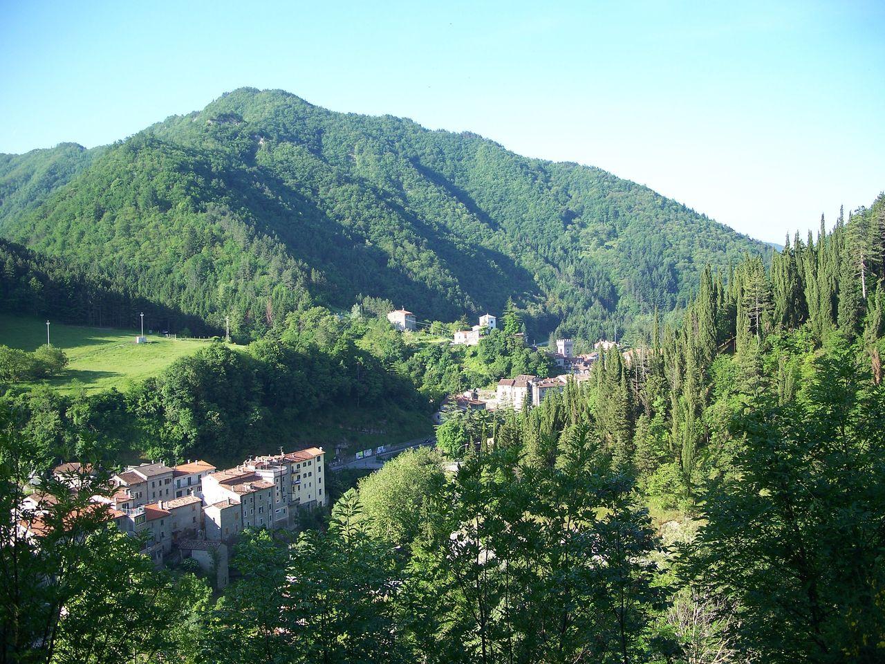 Bild vergr&ouml;ssern