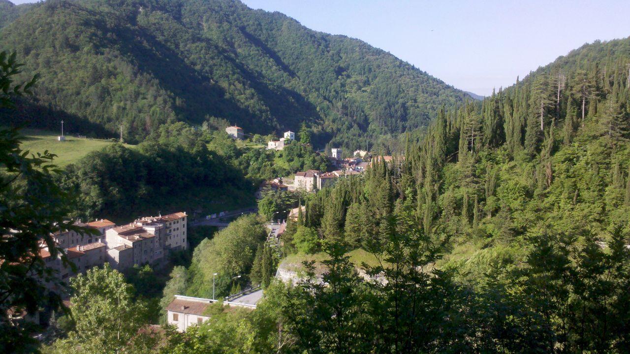 Bild vergr&ouml;ssern