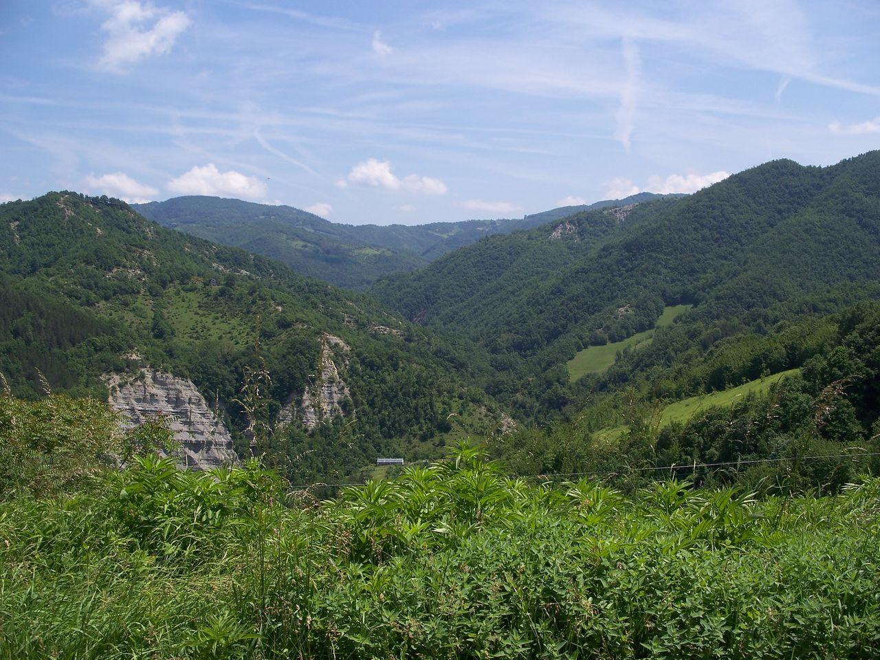 Bild vergr&ouml;ssern