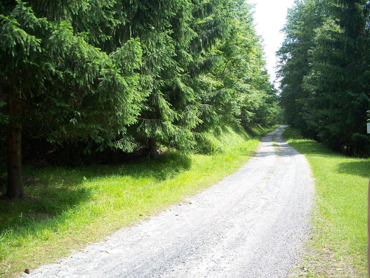 Bild vergr&ouml;ssern