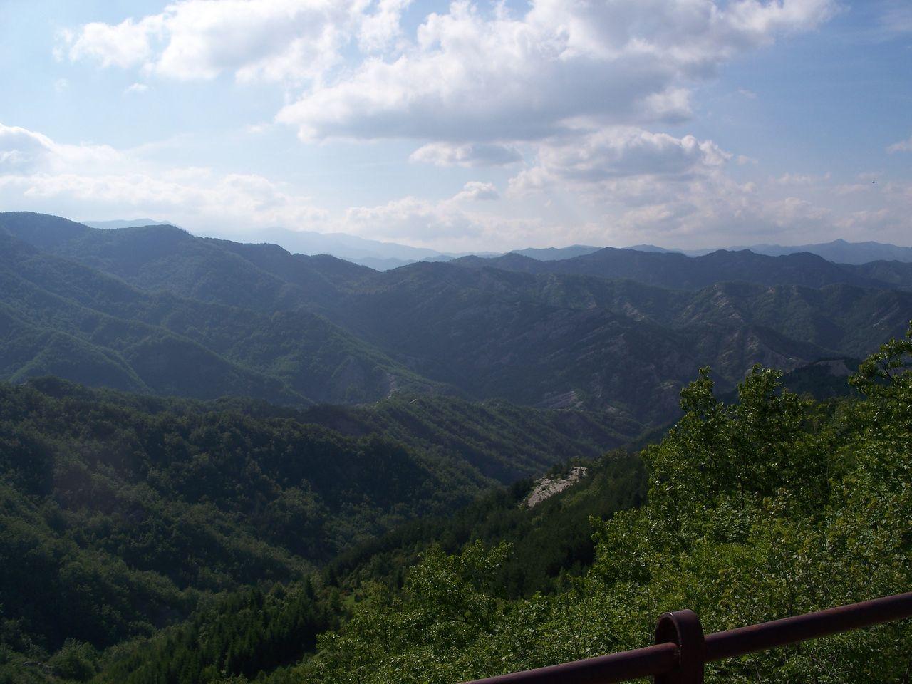 Bild vergr&ouml;ssern