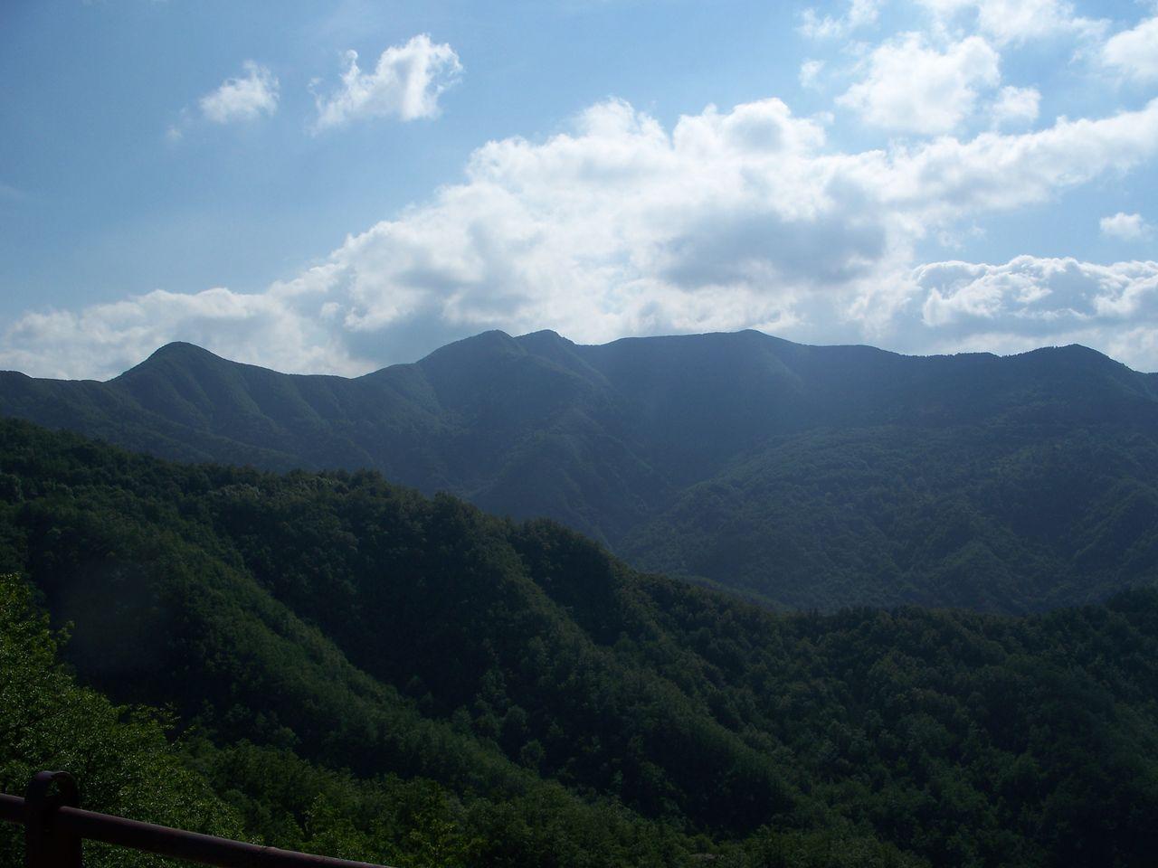 Bild vergr&ouml;ssern