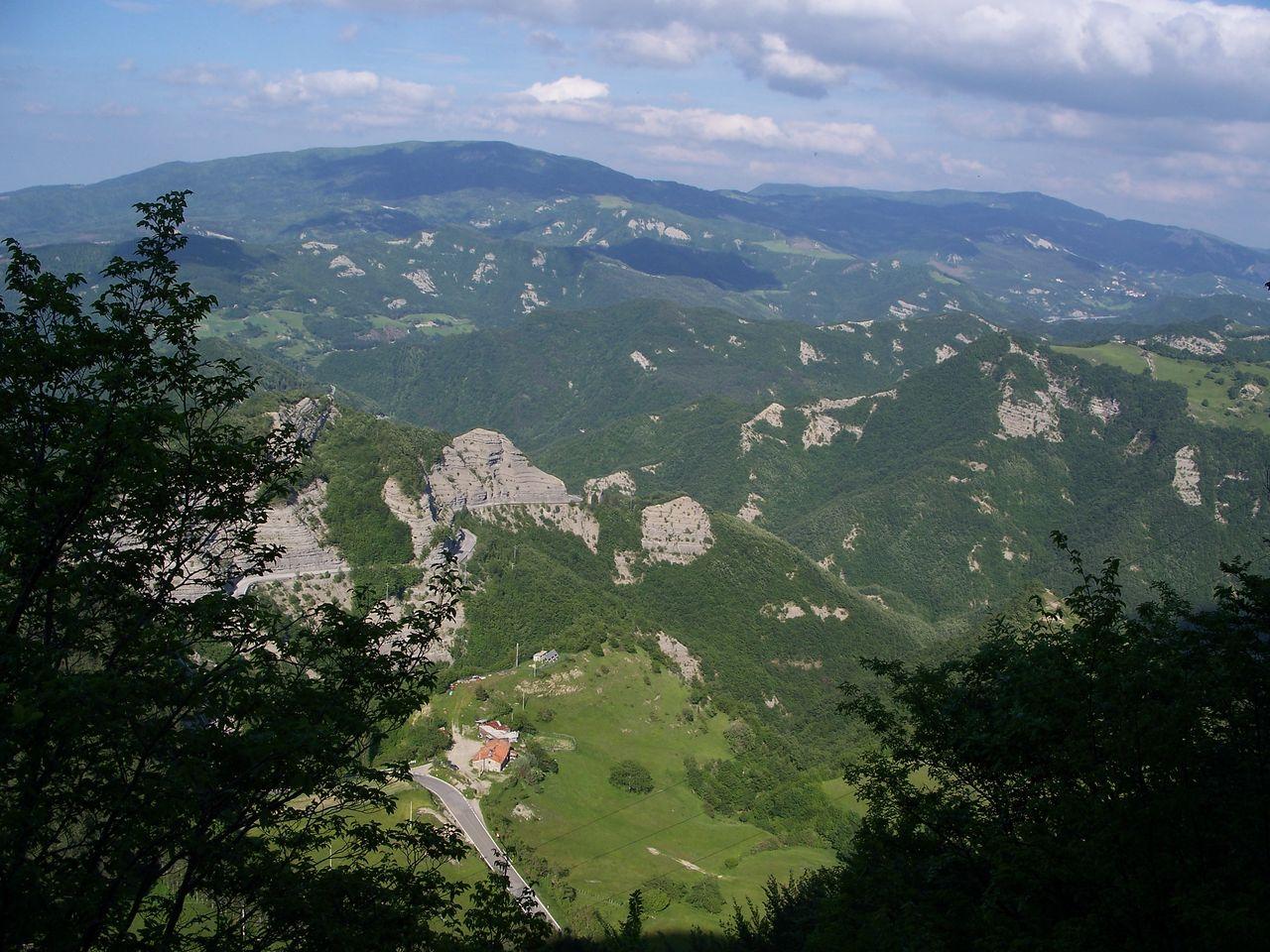 Bild vergr&ouml;ssern