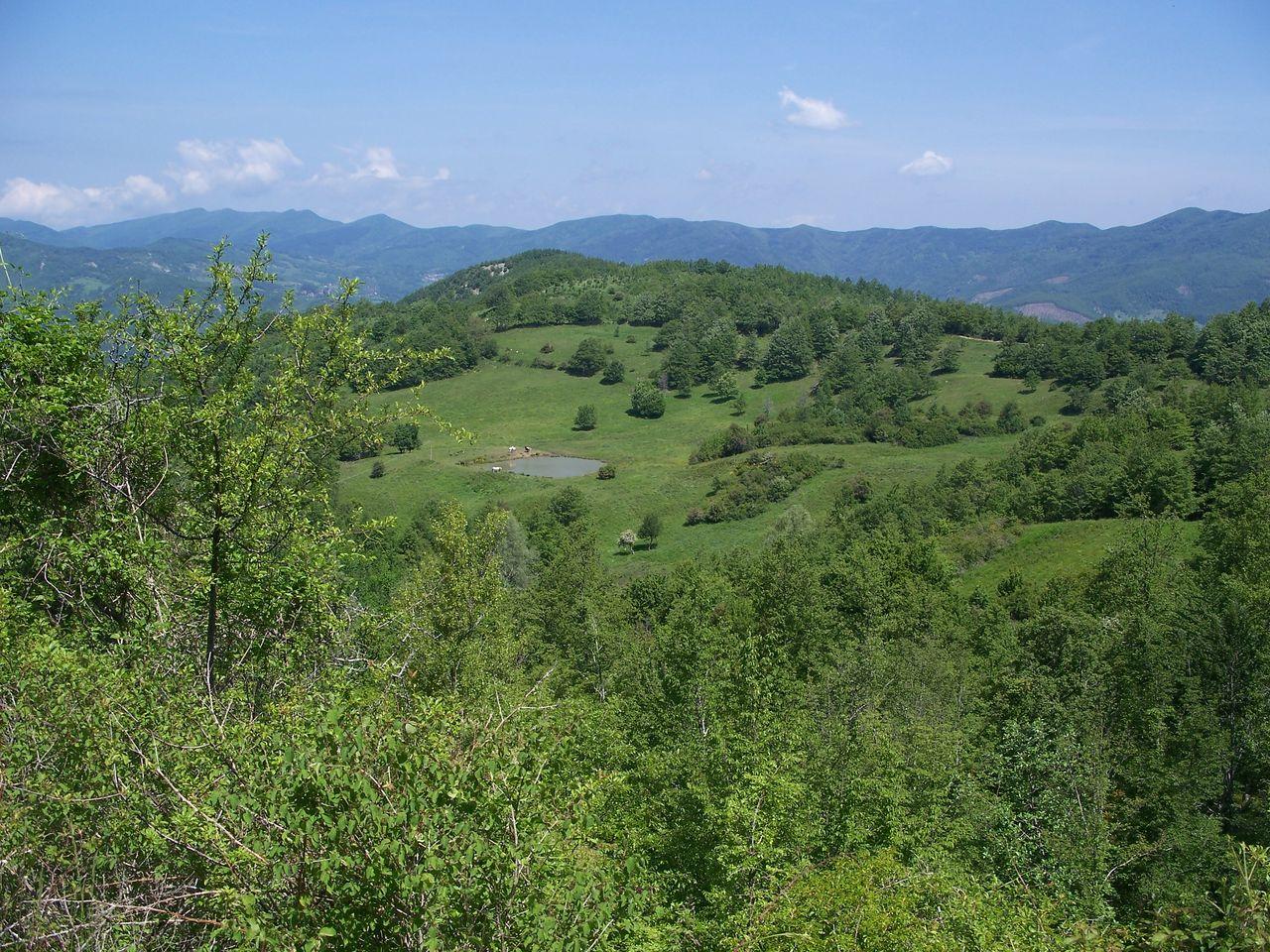 Bild vergr&ouml;ssern