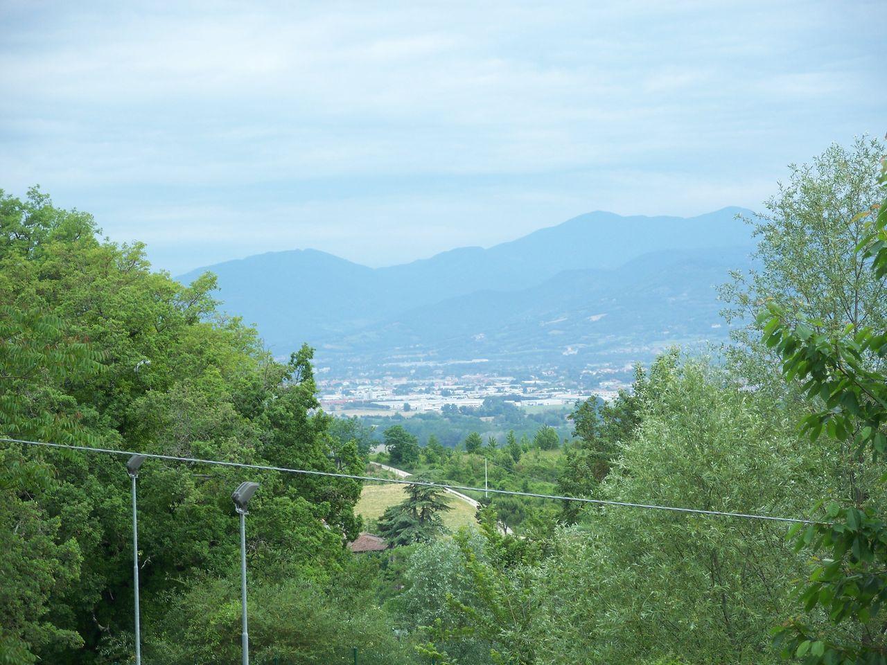 Bild vergr&ouml;ssern