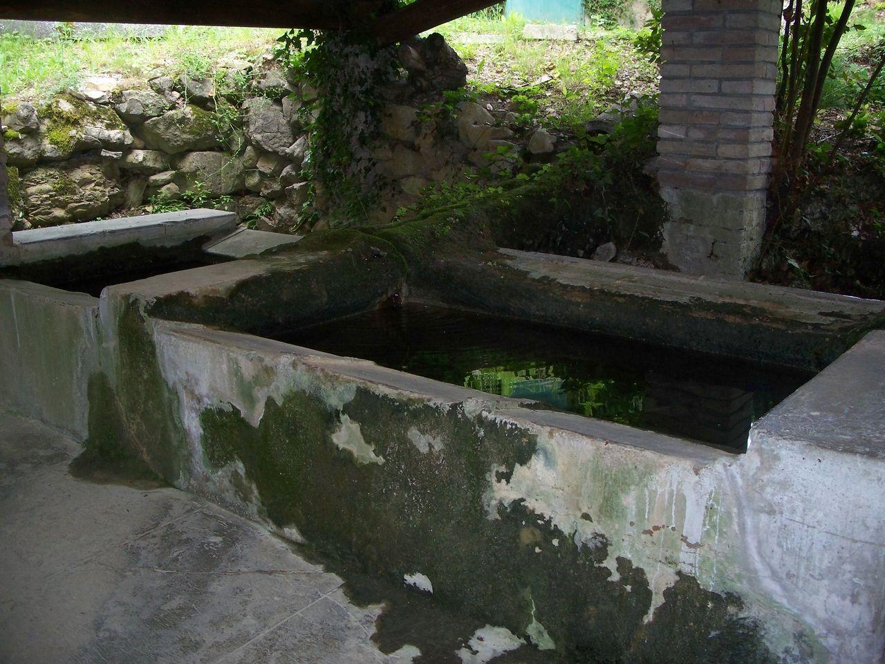 Bild vergr&ouml;ssern