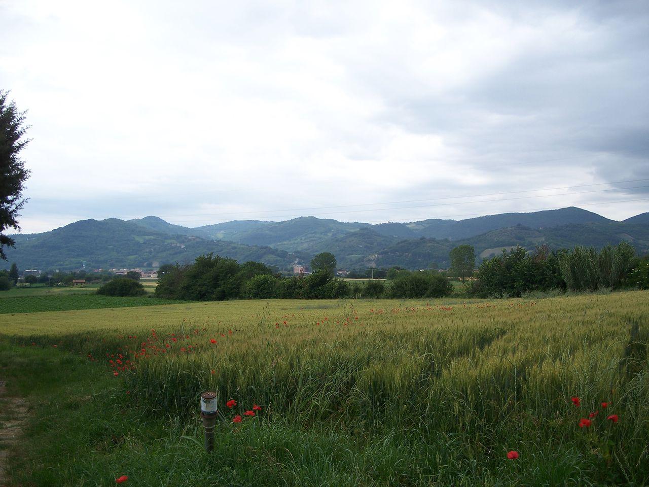 Bild vergr&ouml;ssern