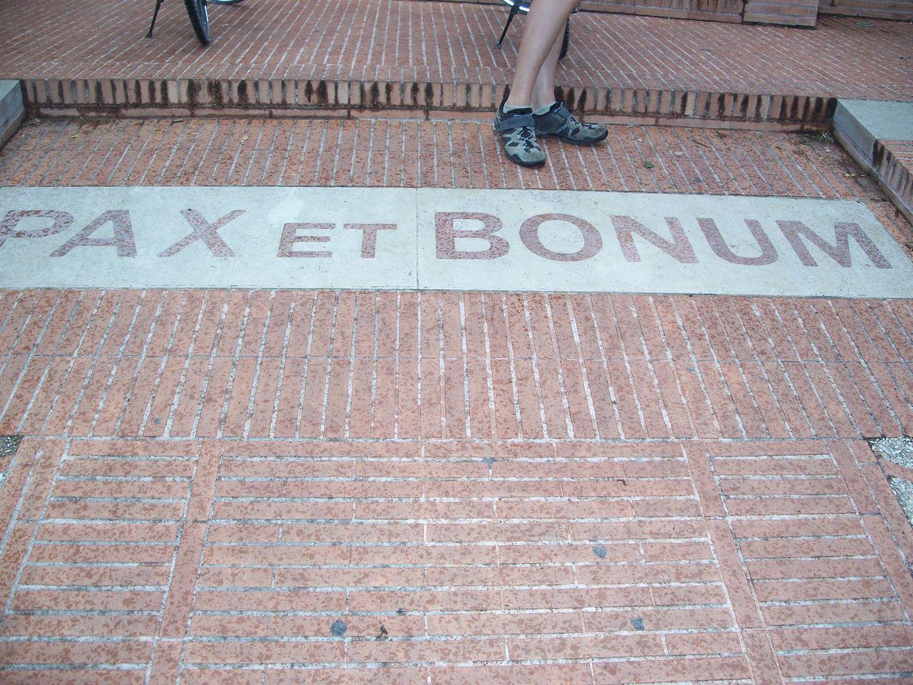 Bild vergr&ouml;ssern