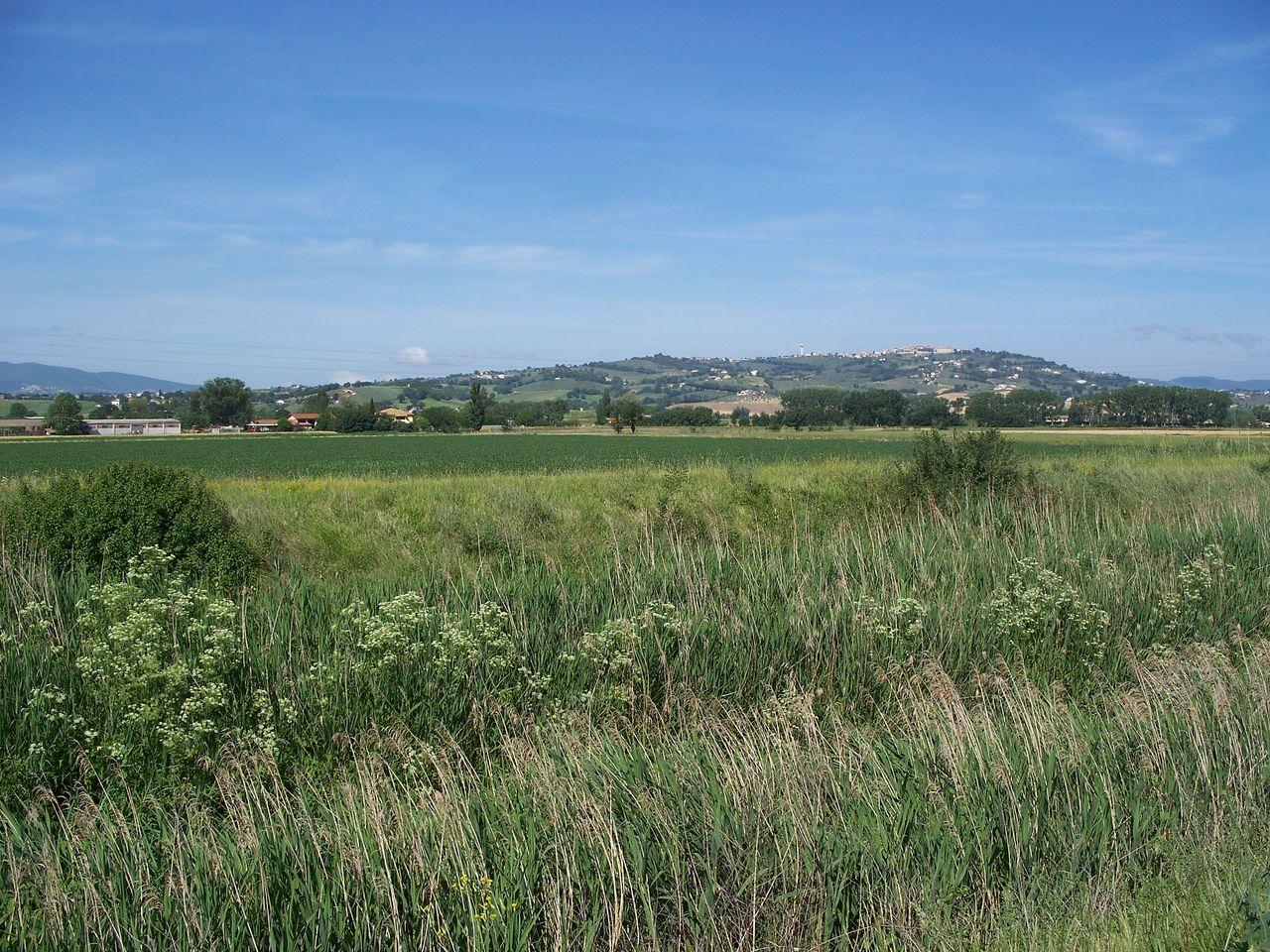 Bild vergr&ouml;ssern