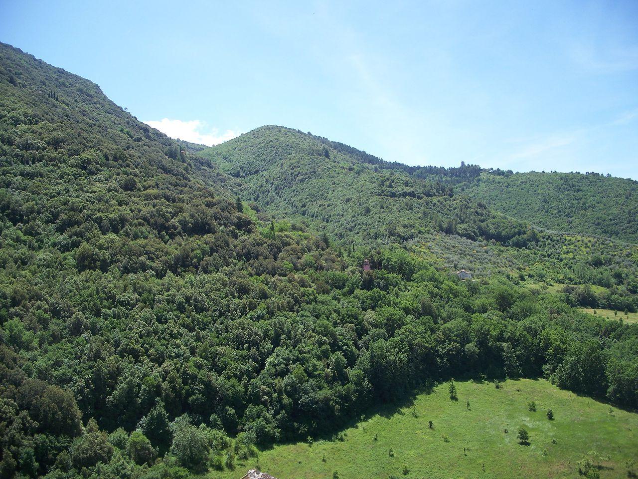 Bild vergr&ouml;ssern