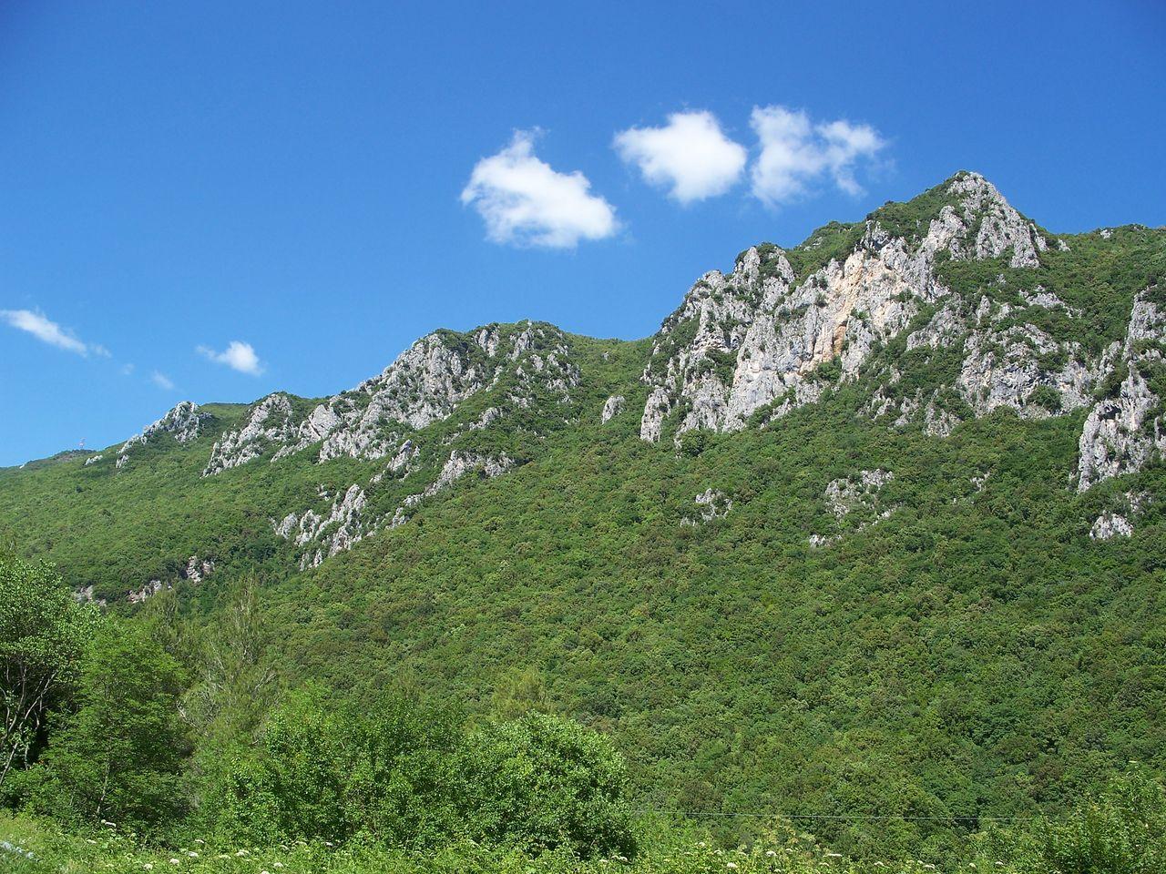 Bild vergr&ouml;ssern