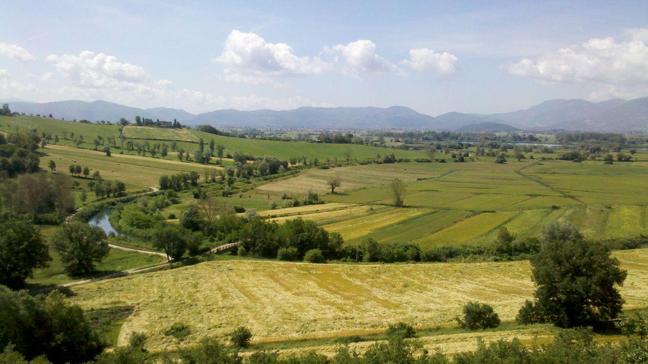 Bild vergr&ouml;ssern