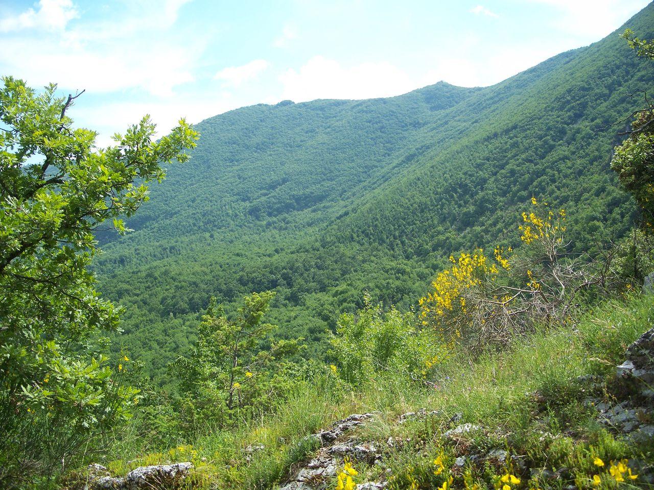 Bild vergr&ouml;ssern