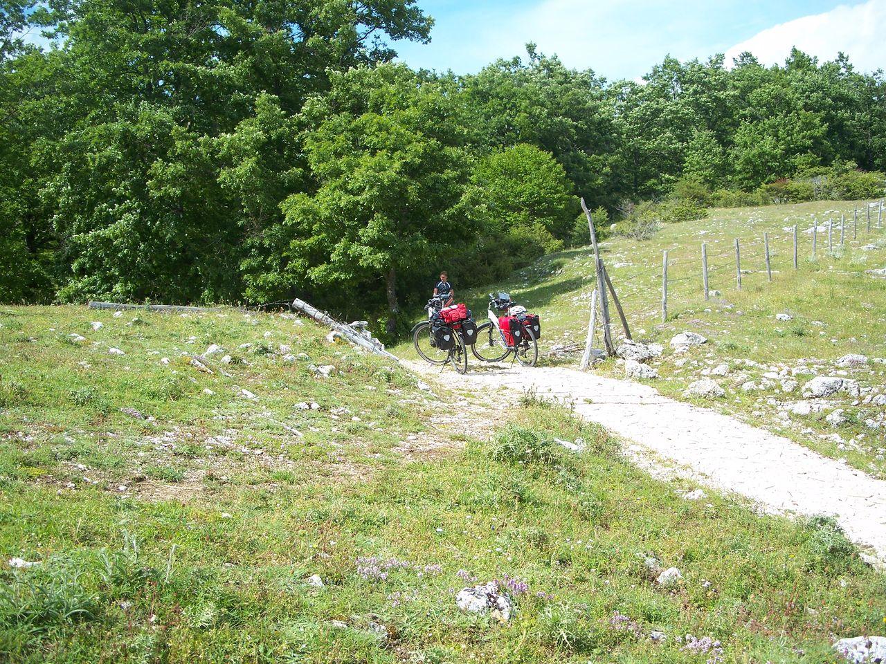 Bild vergr&ouml;ssern