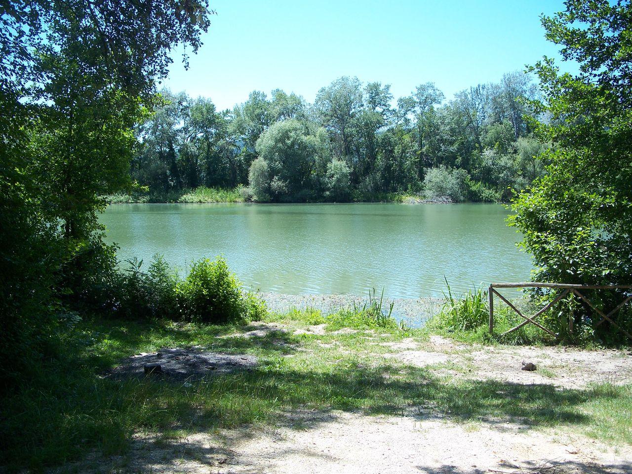 Bild vergr&ouml;ssern