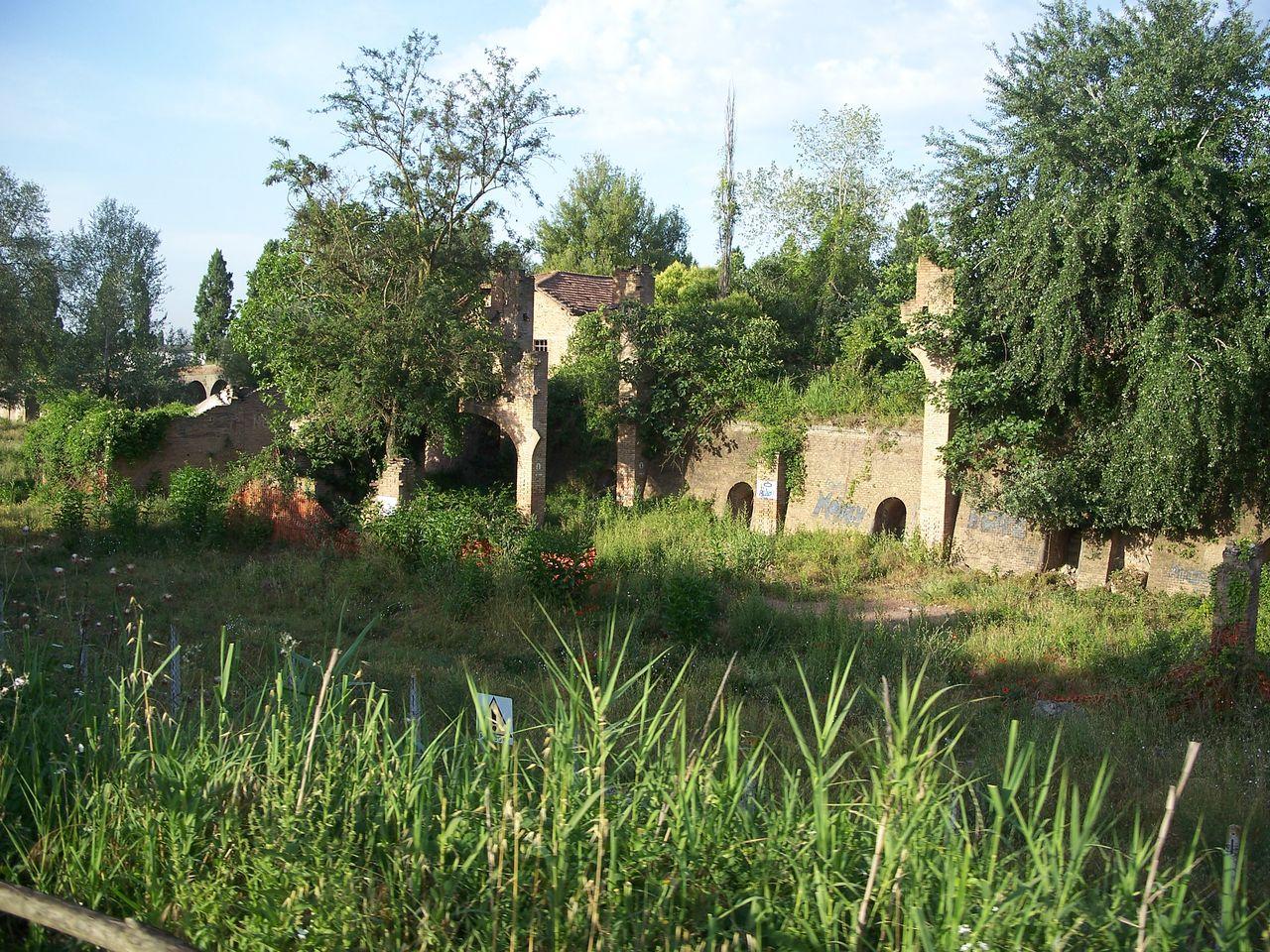 Bild vergr&ouml;ssern