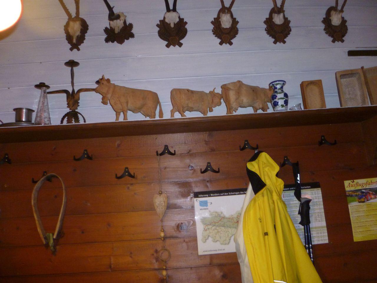 Bild vergr&ouml;ssern