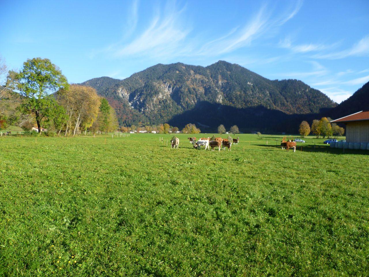 Bild vergr&ouml;ssern