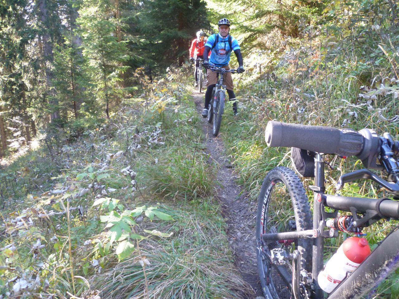 Bild vergr&ouml;ssern