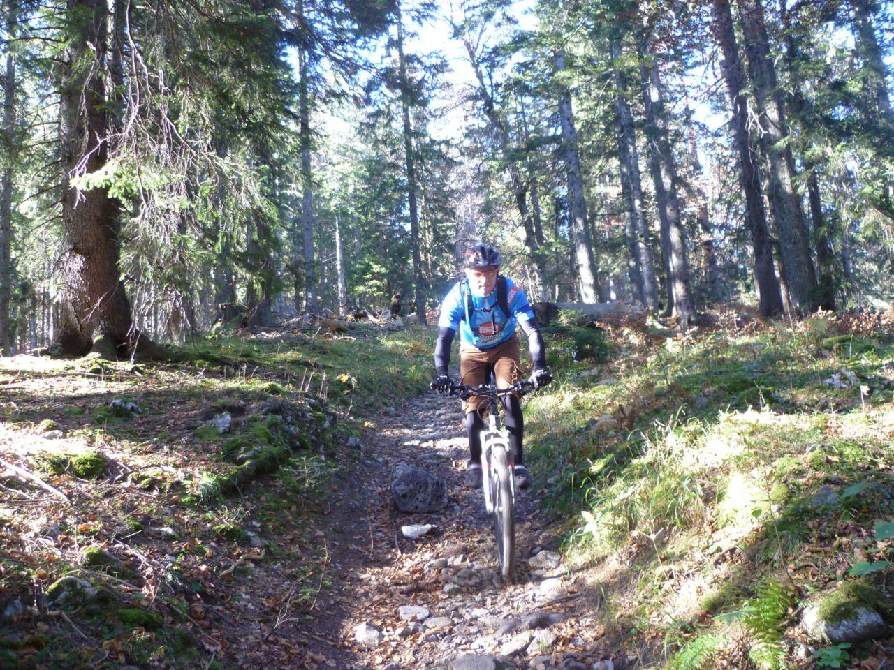 Bild vergr&ouml;ssern