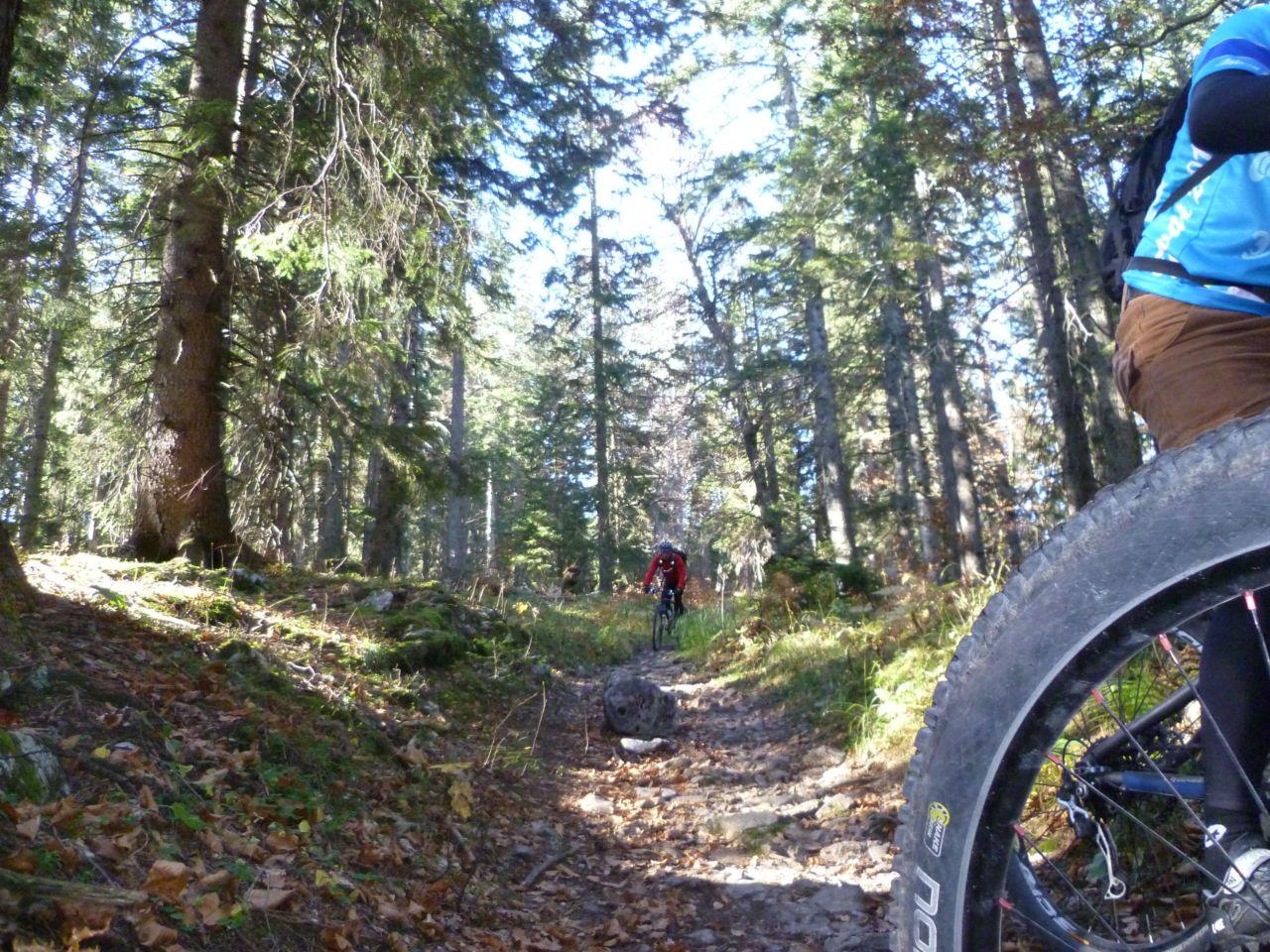 Bild vergr&ouml;ssern