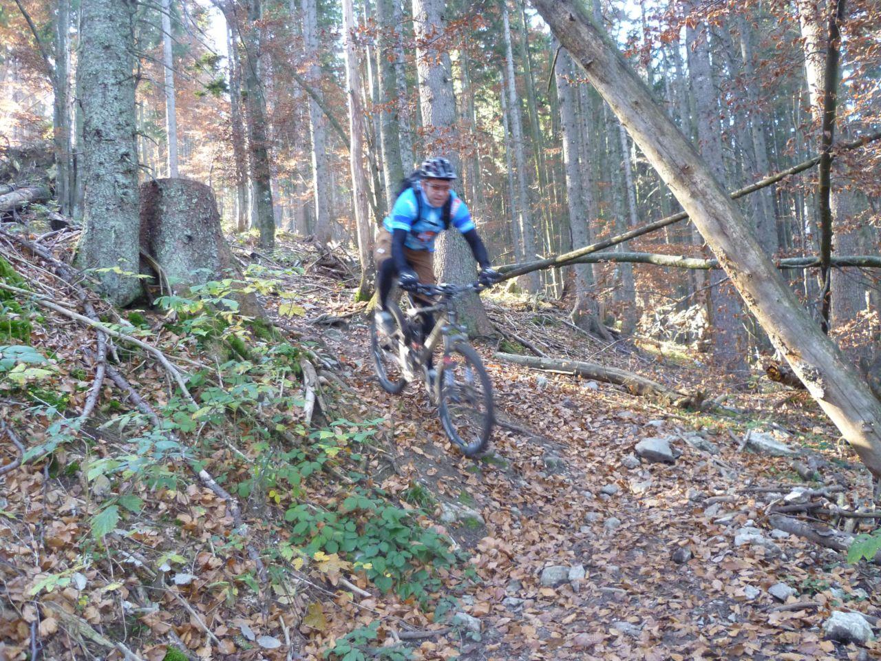 Bild vergr&ouml;ssern