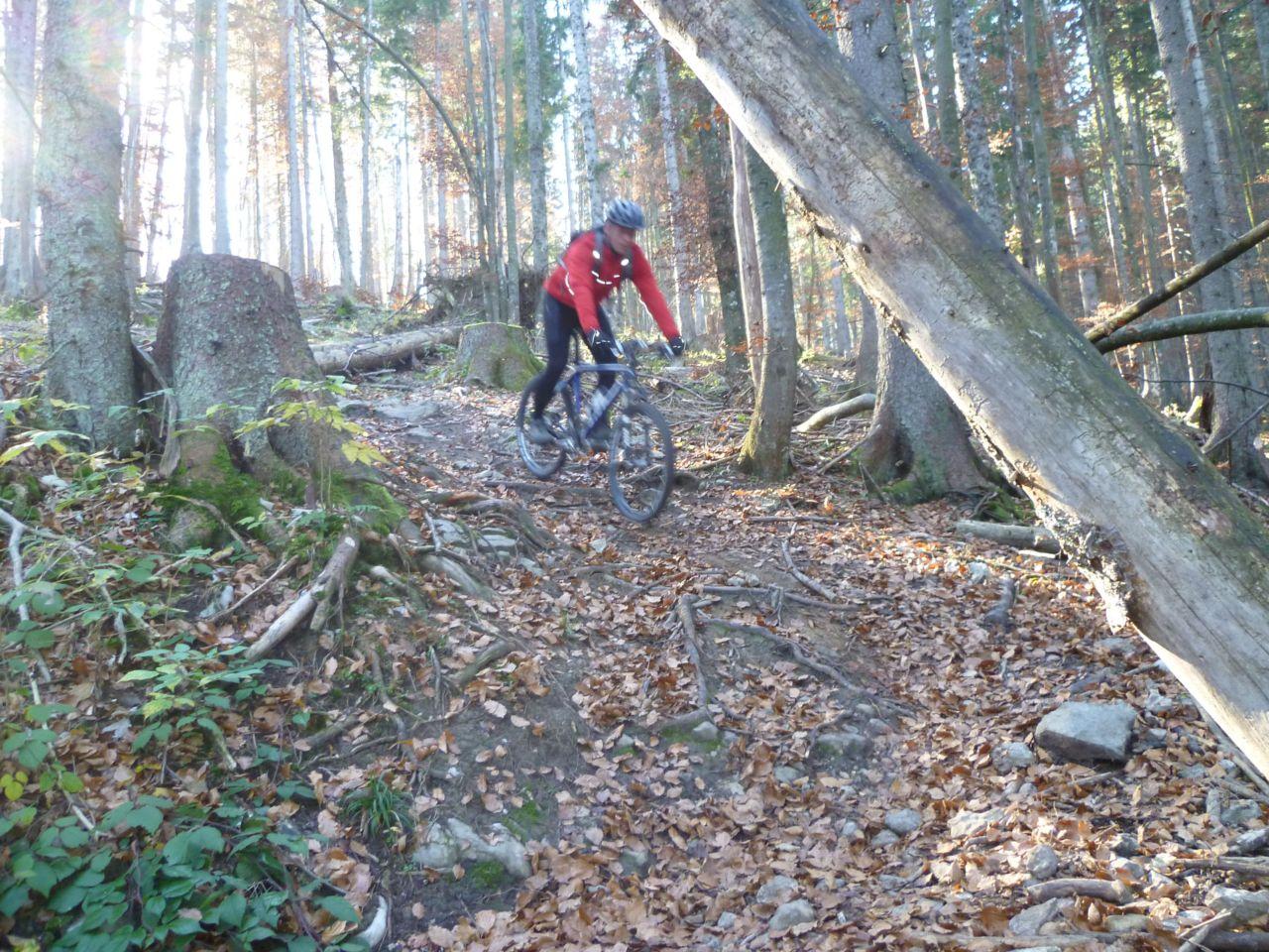 Bild vergr&ouml;ssern