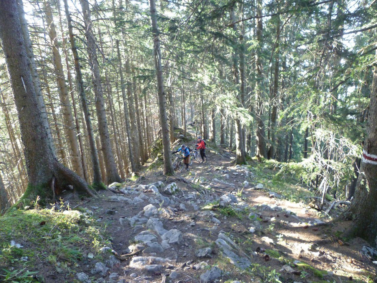 Bild vergr&ouml;ssern