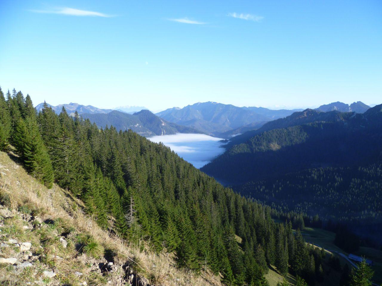 Bild vergr&ouml;ssern