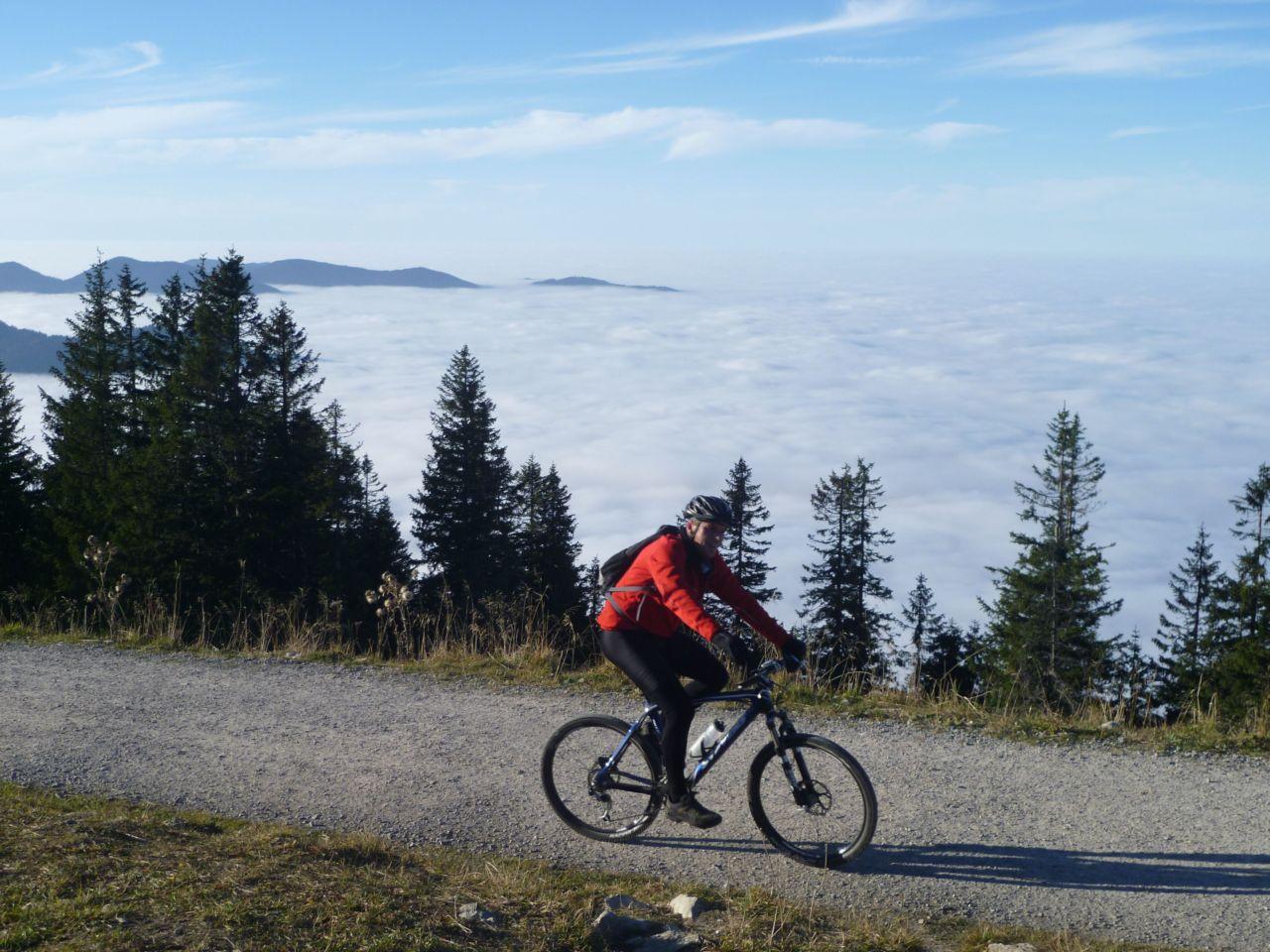 Bild vergr&ouml;ssern