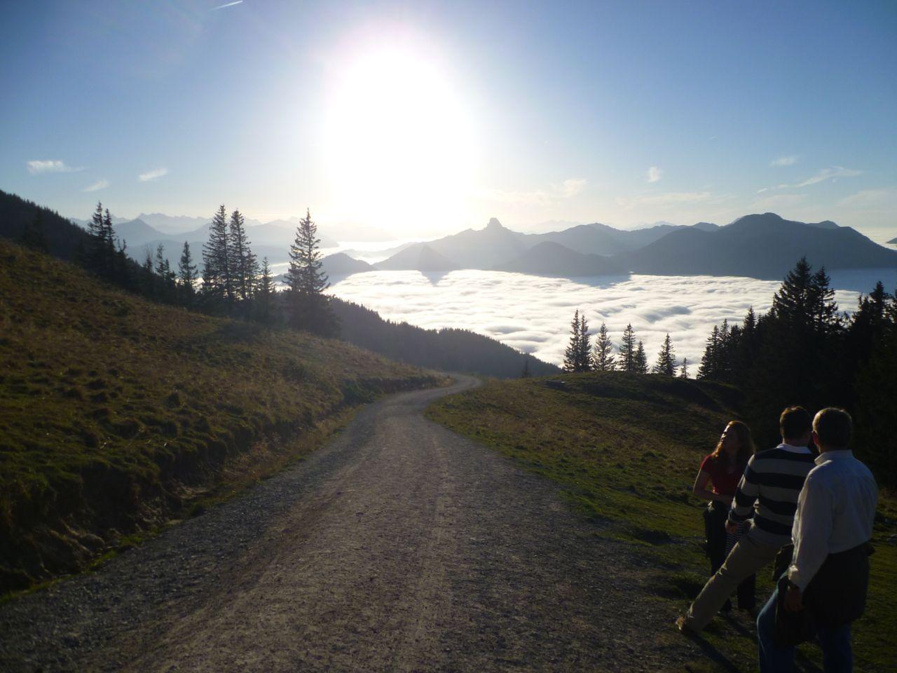 Bild vergr&ouml;ssern