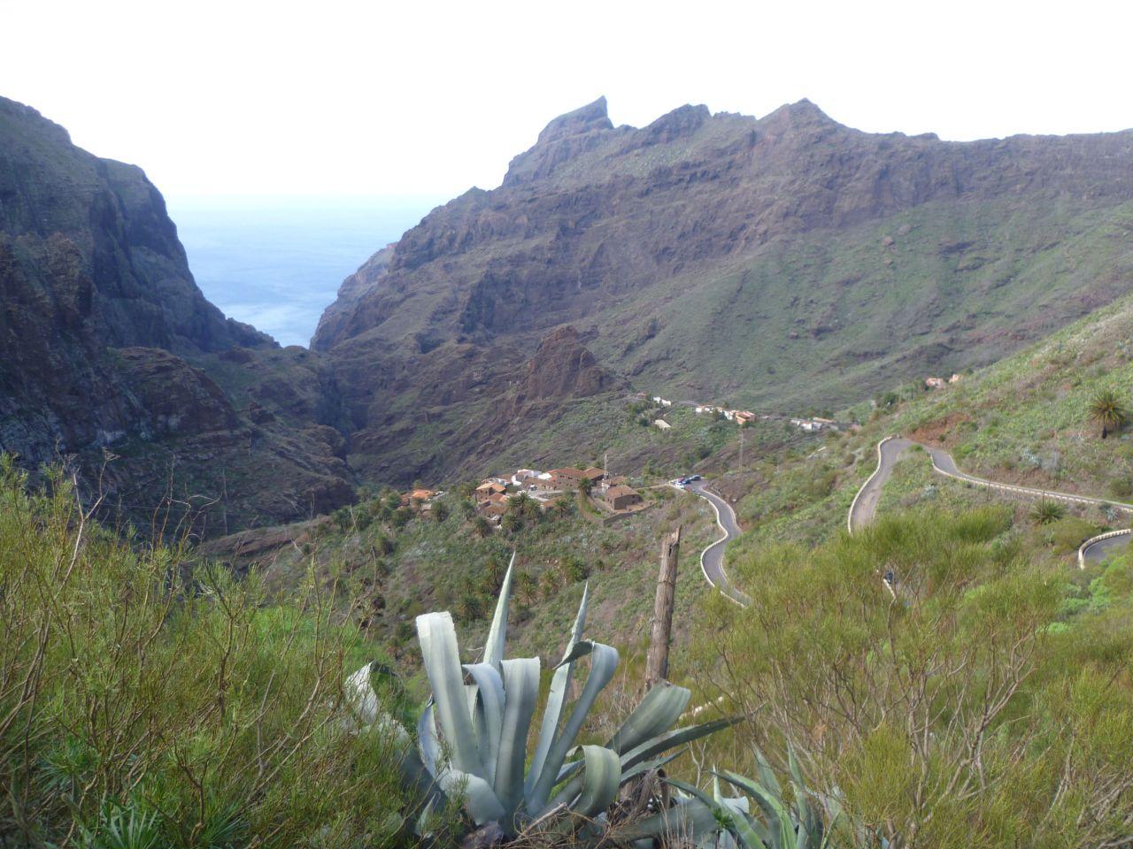 Bild vergr&ouml;ssern