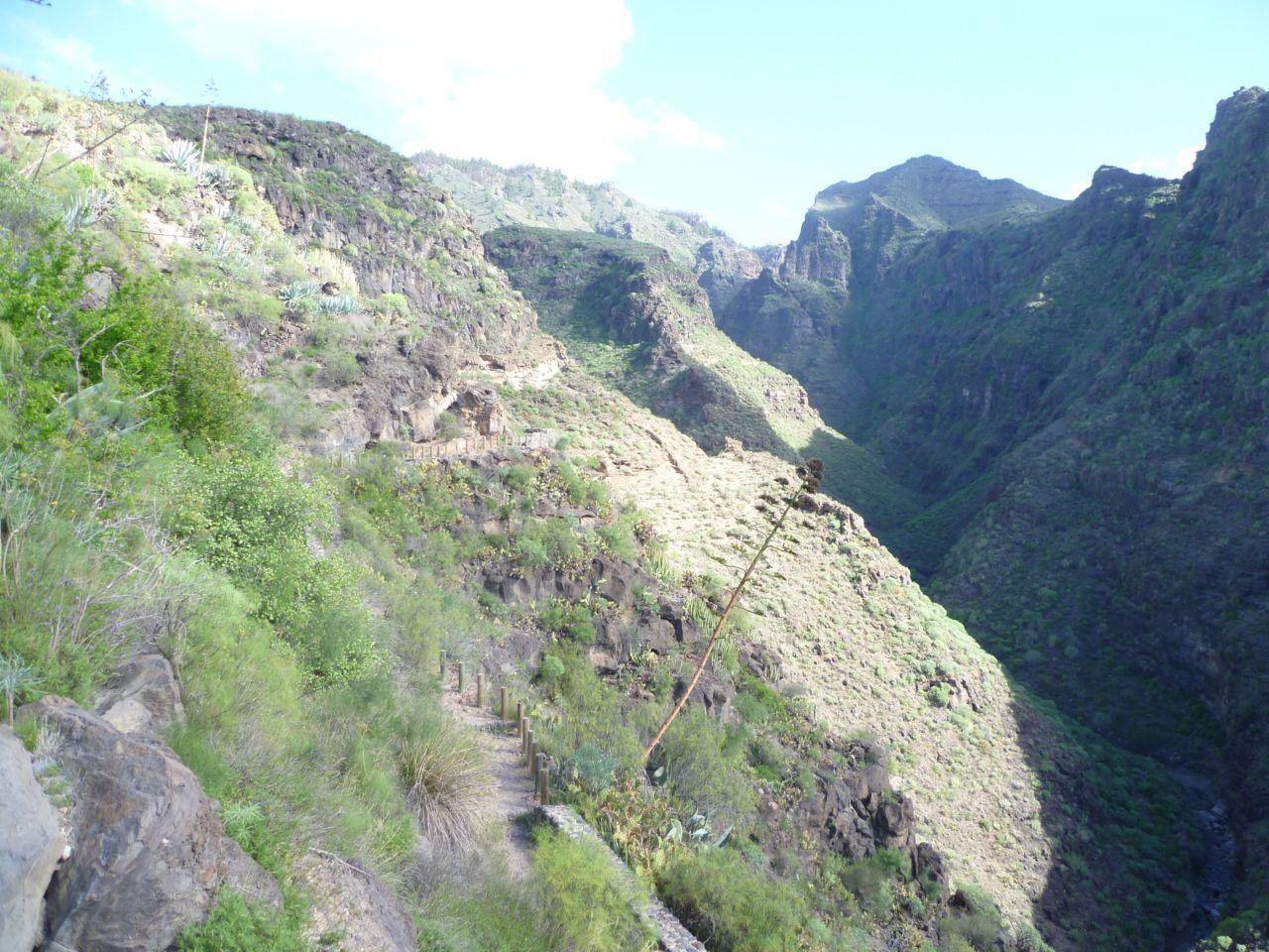 Bild vergr&ouml;ssern