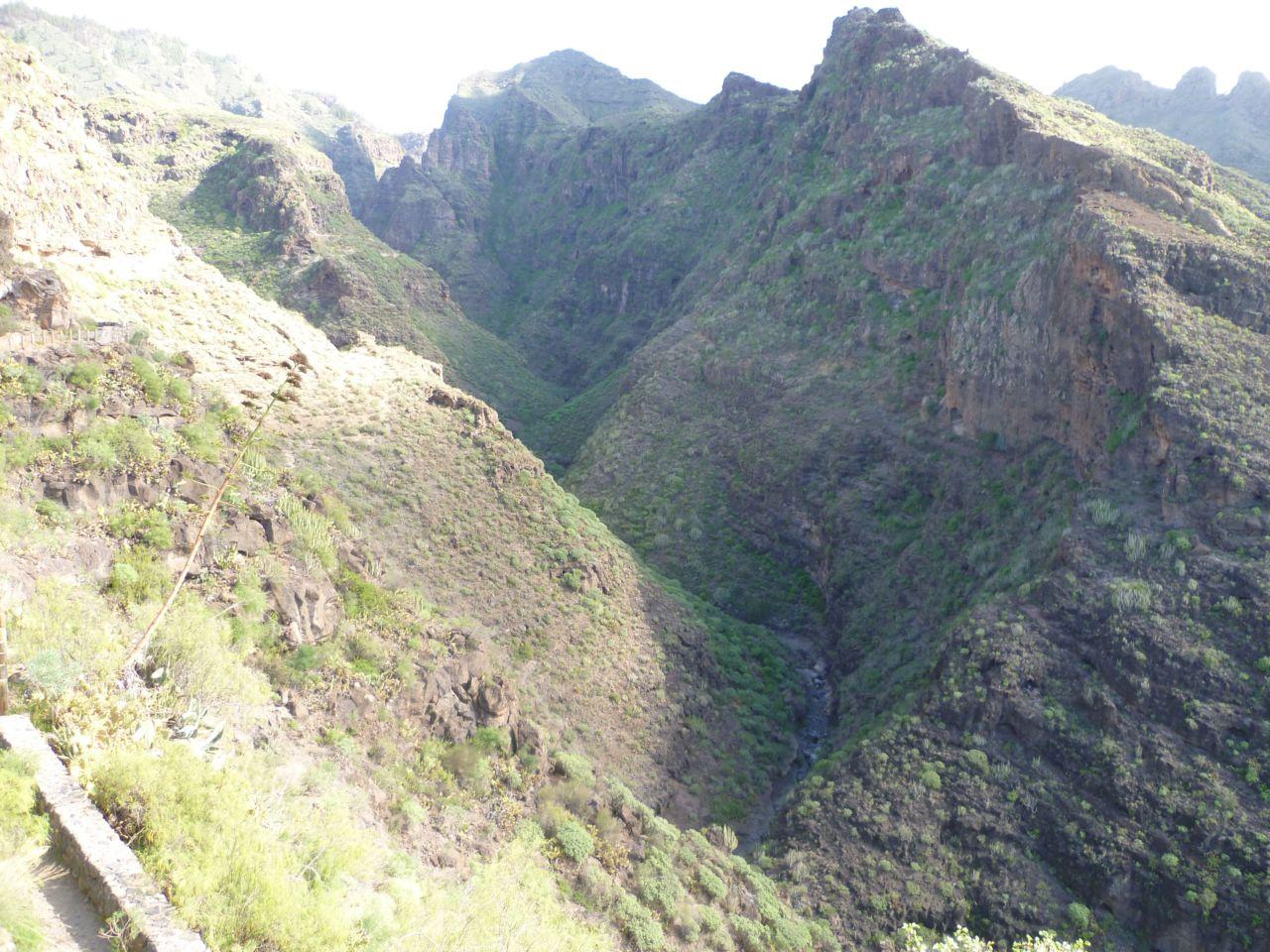 Bild vergr&ouml;ssern