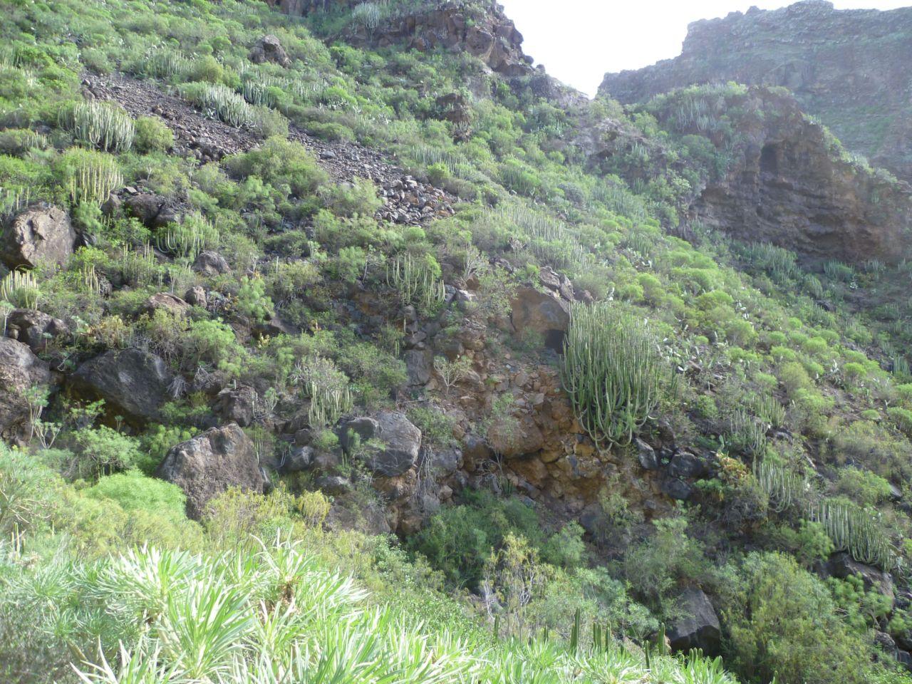 Bild vergr&ouml;ssern