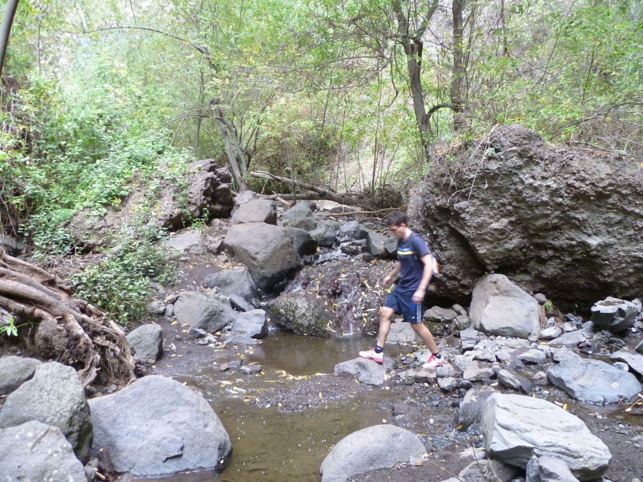 Bild vergr&ouml;ssern