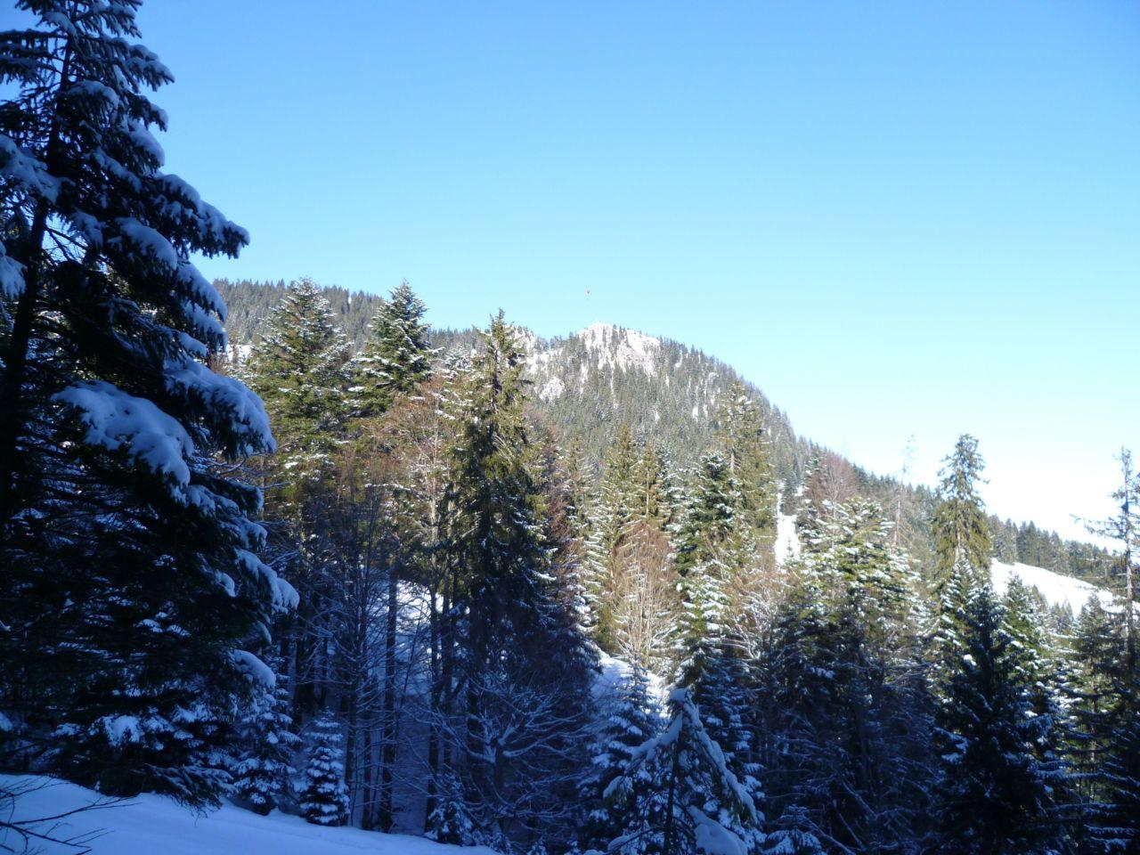 Bild vergr&ouml;ssern